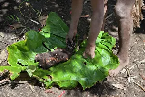 Vanuatu: Mangao, 8 years old, the future chieftain of his