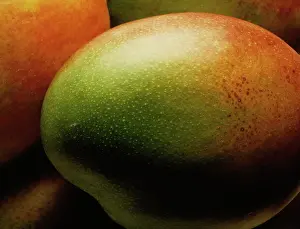 Indica: Mango
