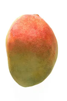 Mango: Mango - studio shot