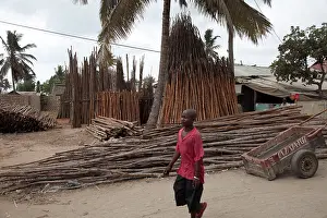 Selling: Mangrove Poles and Timber - for sale at roadside