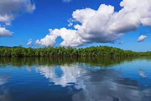 Puntarenas Province: Mangroves along the Sierpe River, Terraba Sierpe National