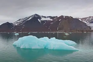 Monacobreen: Manocobreen as seen from Liefdefjord - Svalbard