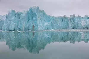 Monacobreen: Manocobreen as seen from Liefdefjord - Svalbard
