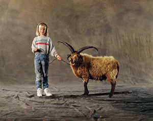 Manx: MANX LOGHTAN SHEEP AND GIRL
