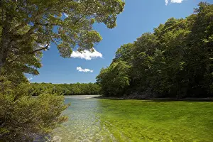 Pure: Mararoa River, below South Mavora Lake