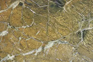 Polished: Marble