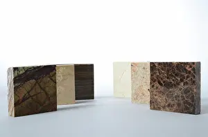 Petrology: Marble