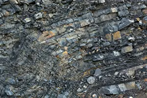 Extraction: Marcellus Shale natural gas bearing rock