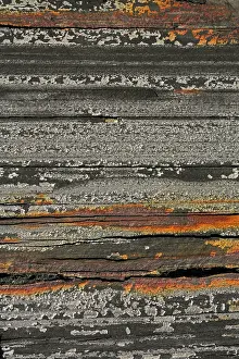 Extraction: Marcellus Shale natural gas bearing rock