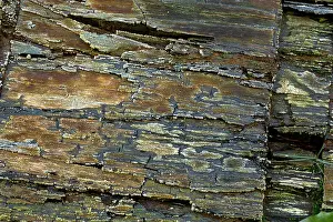 Extraction: Marcellus Shale natural gas bearing rock