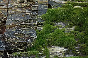 Extraction: Marcellus Shale natural gas bearing rock