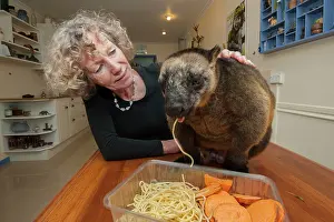 Lumholtzi: Margit Cianelli with a 11 year old Lumholtz's Tree Kangaroo