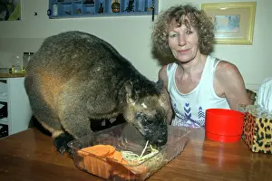 Lumholtzi: Margit Cianelli with a 11 year old Lumholtz's Tree Kangaroo