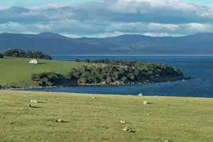 Sarcophilus: Maria Island Tasmanian Devil habitat