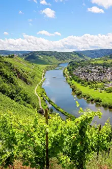Mosel: Marienburg above vineyards on the Moselle, Panderich