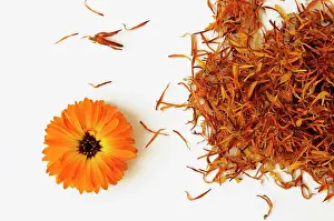 Homeopathic: Marigold