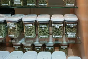 Marijuana: Marijuana hybrid flowers on sale at marijuana dispensary