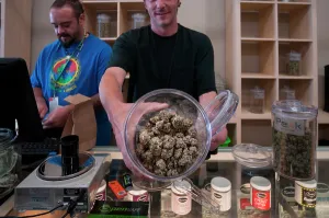 Adventitious: Marijuana hybrid flowers on sale at marijuana dispensary