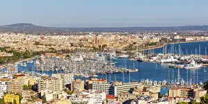 Palma: Marina Port with Boats Holiday Travel City in Palma