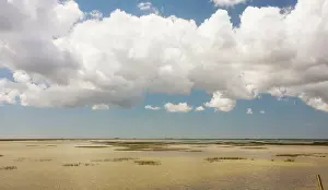 Coto: The marismas (marshes) of the Coto Donana National Park