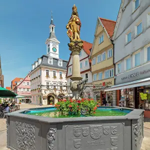 Anguilliforme: Market fountain and historic town hall on the market
