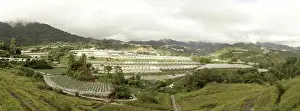 Cameron: Market Gardening in Malaysia