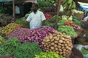 Chillies: Market vegetables