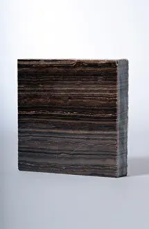 Petrology: Marron Grecale Marble
