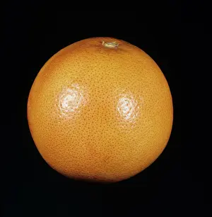 Paradisi: Marsh Ruby Grapefruit