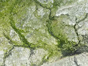 Tides: Marshes and streams at low tide in the Walvis Bay Lagoon
