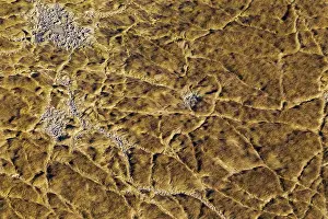 Trails: Marshland with animal trails and little muddy pools
