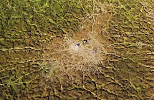 Trails: Marshland with animal trails and termite hill aerial view