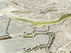 Marshland: Marshland in the BahÃ­a de CÃ¡diz Nature Reserve