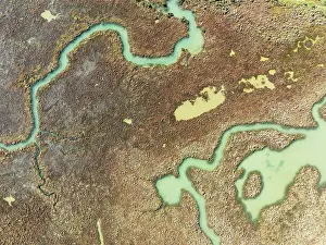 Flow: Marshland at low tide. Nature Reserve La Brea y