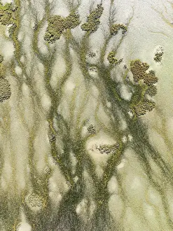 Flow: Marshland at low tide. Nature Reserve La Brea y