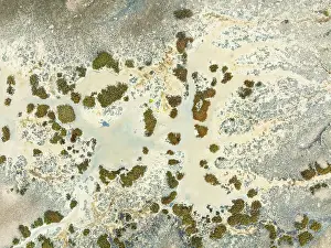 Tides: Marshland at low tide. Nature Reserve La Breña y Marismas del Barbate