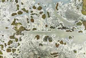 Tides: Marshland at low tide. Nature Reserve La Breña y Marismas del Barbate