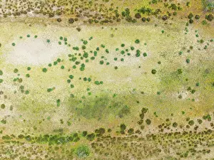 Cdiz: Detail of marshland near Sanlcar de Barrameda