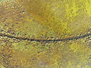Cdiz: Detail of marshland near Sanlcar de Barrameda