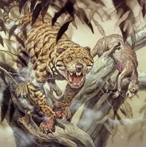 Primitive: Marsupial Lion
