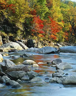 Potomac: Maryland, Potomac State Forest, North Fork