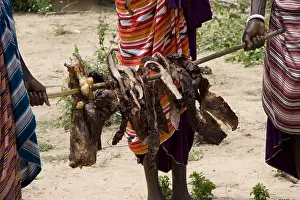 Pieces: Masai men carrying grilled cow pieces Tanzania