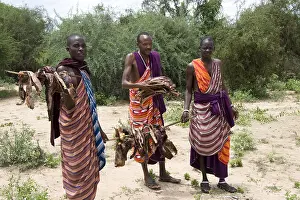 Pieces: Masai men carrying grilled cow pieces Tanzania