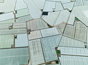Plastic: Masses of shimmering plastic greenhouses near El
