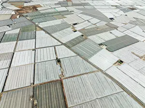 Plastic: Masses of shimmering plastic greenhouses near El