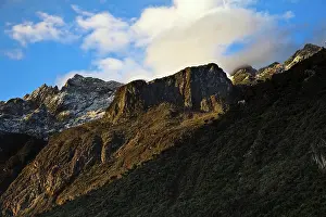 Senecio: The massif of Mount Speke from the valley