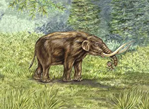 Reconstruction: Mastodon