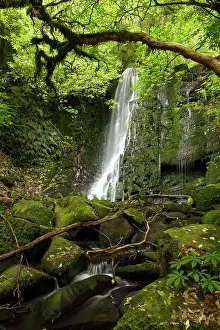 Catlins: Matai Falls, Catlins, South Otago, South