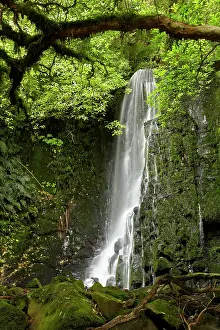 Catlins: Matai Falls, Catlins, South Otago, South