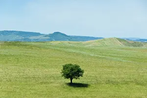 Parco: Matera, Basilicata. Parco regionale delle